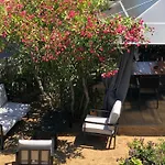 Apartment Erdgeschoss Der Du Pebrier Cote D'azur By Interhome *