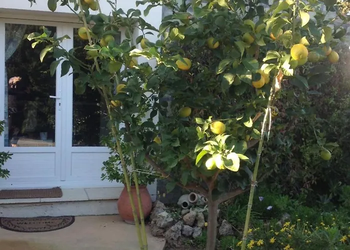 Erdgeschoss Der Du Pebrier Cote D'azur By Interhome * Saint Aygulf