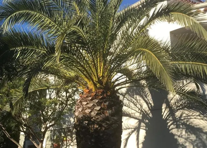 Erdgeschoss Der Du Pebrier Cote D'azur By Interhome *