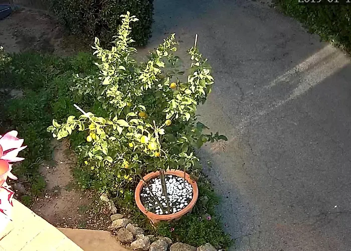 Erdgeschoss Der Du Pebrier Cote D'azur By Interhome * Saint Aygulf